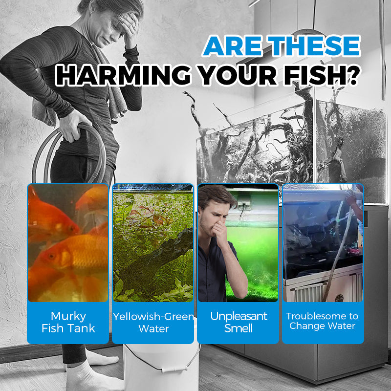 Automatisches Aquarienfiltersystem