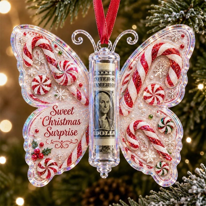 🦋💵 Weihnachtliches Geldgeschenk in Schmetterlingsform – Erinnerungsstück für die Feiertage 🎄✨