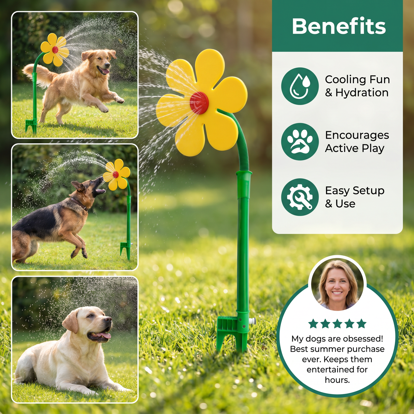 Rotierender Sonnenblumen-Sprinkler für Hunde
